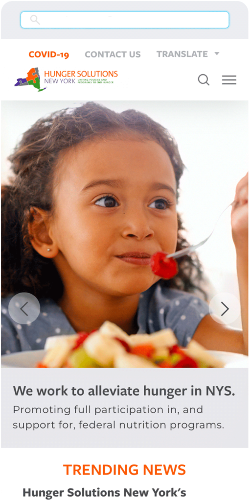 portfolio-mobile-hsny-homepage Hunger Solutions New York website