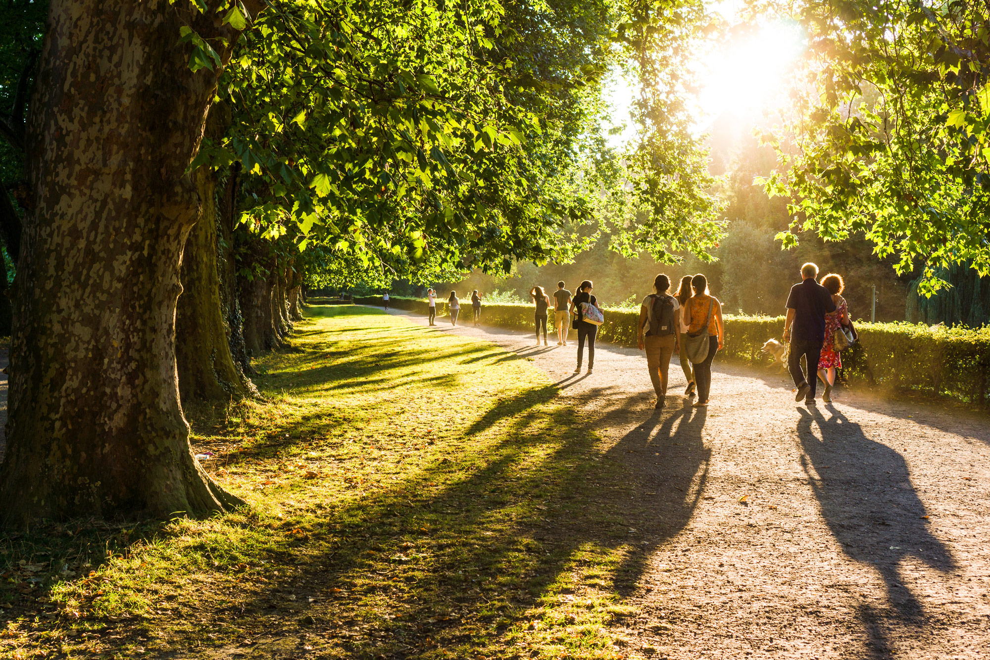 daytime park scene visitors